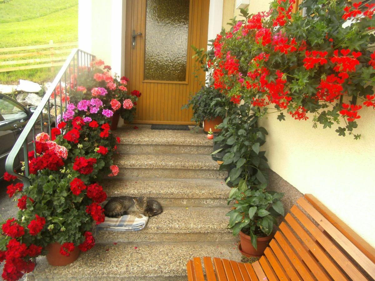 Haus Erika Apartment Ваграйн Екстериор снимка